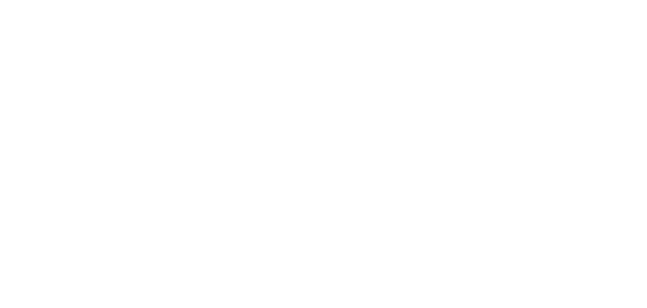 stripe-logo-small